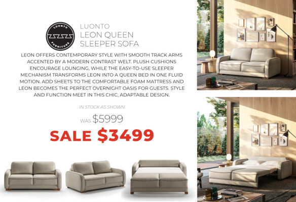 Luonto Leon queen sleeper sofa - now only $3499