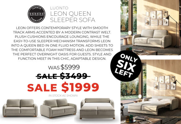 Luonto Leon Queen Sleeper Sofa - Now only $1999 - was 5999